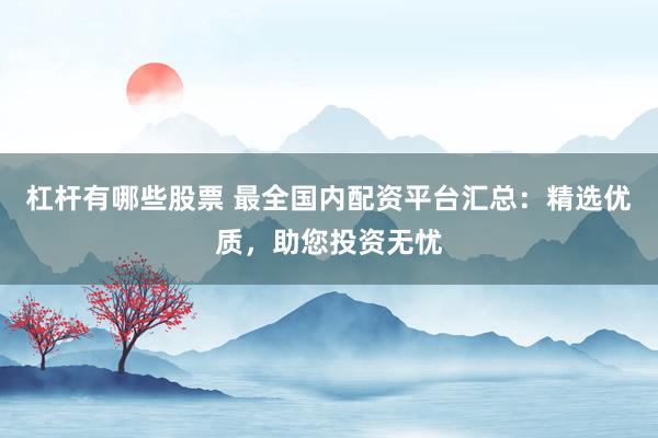 杠杆有哪些股票 最全国内配资平台汇总：精选优质，助您投资无忧