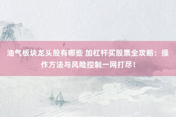 油气板块龙头股有哪些 加杠杆买股票全攻略：操作方法与风险控制一网打尽！