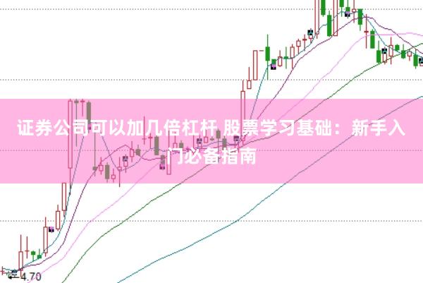 证券公司可以加几倍杠杆 股票学习基础：新手入门必备指南