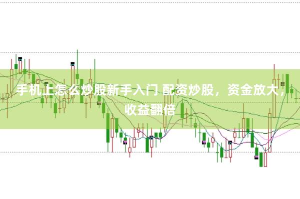 手机上怎么炒股新手入门 配资炒股，资金放大，收益翻倍