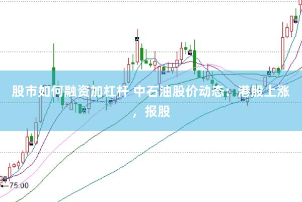 股市如何融资加杠杆 中石油股价动态：港股上涨，报股