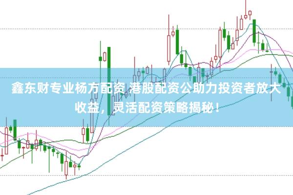 鑫东财专业杨方配资 港股配资公助力投资者放大收益，灵活配资策略揭秘！
