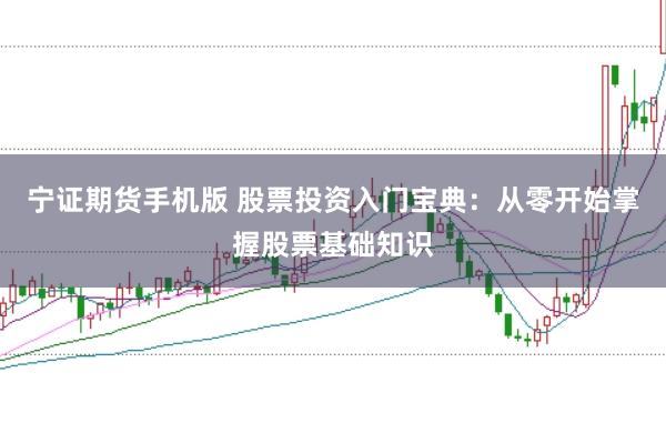 宁证期货手机版 股票投资入门宝典：从零开始掌握股票基础知识
