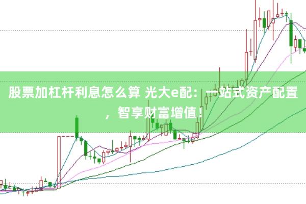 股票加杠杆利息怎么算 光大e配：一站式资产配置，智享财富增值！