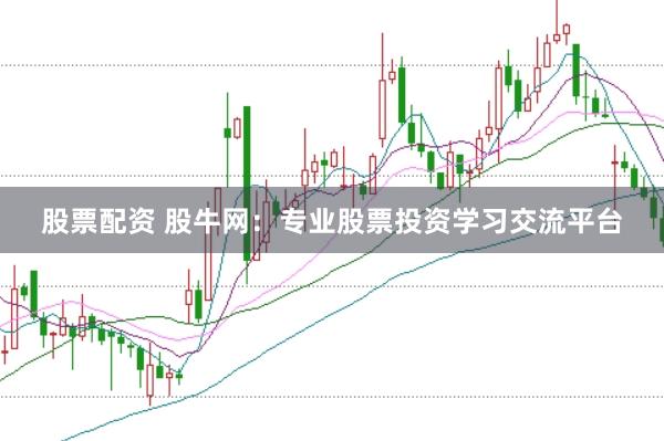 股票配资 股牛网：专业股票投资学习交流平台