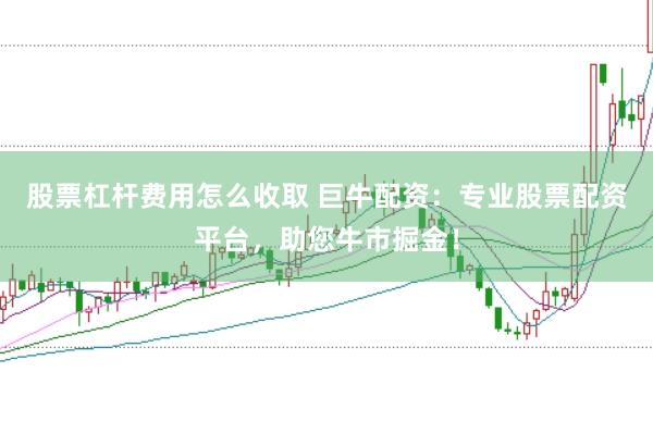 股票杠杆费用怎么收取 巨牛配资：专业股票配资平台，助您牛市掘金！