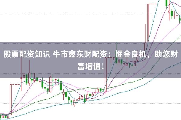 股票配资知识 牛市鑫东财配资：掘金良机，助您财富增值！
