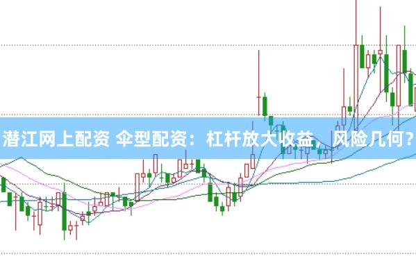 潜江网上配资 伞型配资：杠杆放大收益，风险几何？