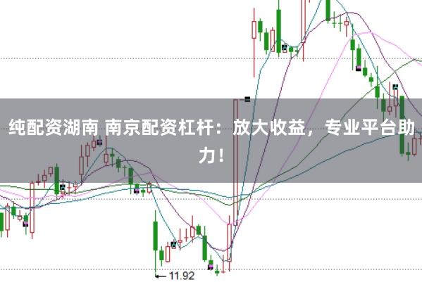 纯配资湖南 南京配资杠杆：放大收益，专业平台助力！