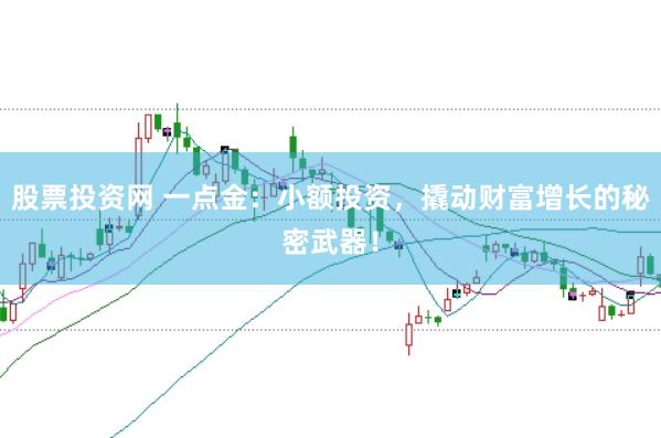 股票投资网 一点金：小额投资，撬动财富增长的秘密武器！