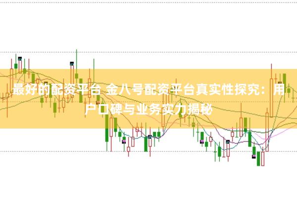 最好的配资平台 金八号配资平台真实性探究：用户口碑与业务实力揭秘