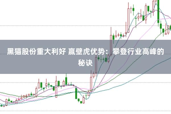 黑猫股份重大利好 赢壁虎优势：攀登行业高峰的秘诀