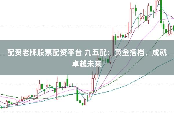 配资老牌股票配资平台 九五配:黄金搭档,成就卓越未来