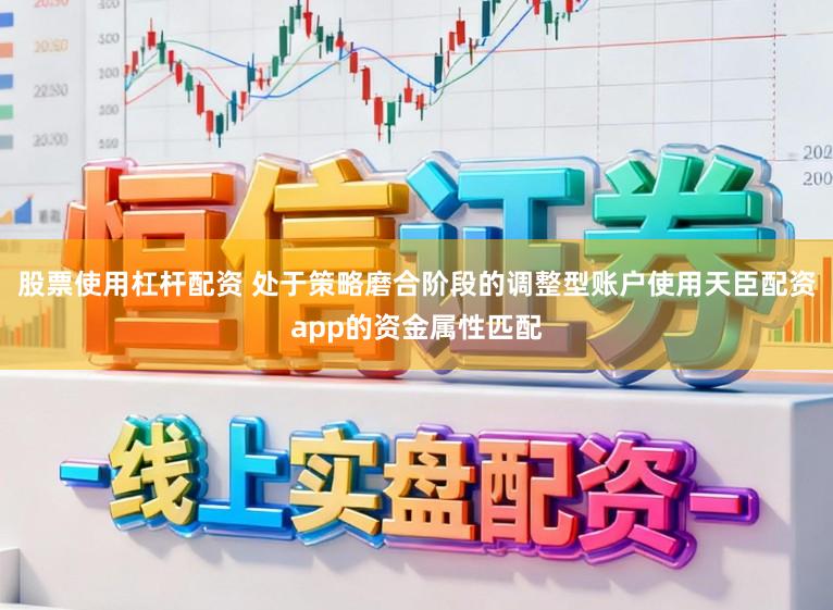 股票使用杠杆配资 处于策略磨合阶段的调整型账户使用天臣配资app的资金属性匹配
